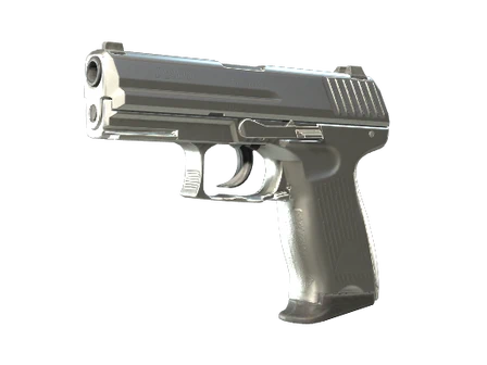 P2000 | Silver image