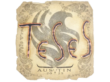 Sticker | TeSeS | Austin 2025 image