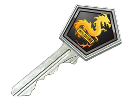 Operation Wildfire Case Key image