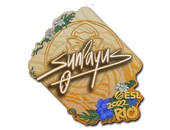 Sticker | SunPayus | Rio 2022 image
