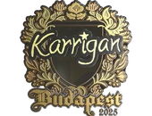 Sticker | karrigan (Gold) | Budapest 2025 image