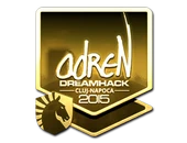 Sticker | adreN (Gold) | Cluj-Napoca 2015 image