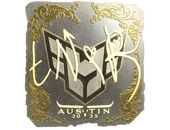Sticker | tN1R (Gold) | Austin 2025 image