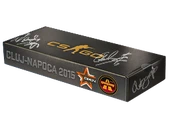 DreamHack Cluj-Napoca 2015 Overpass Souvenir Package image