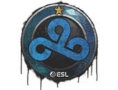 Sealed Graffiti | Cloud9 | Katowice 2019 image