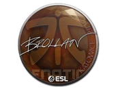 Sticker | Brollan | Katowice 2019 image