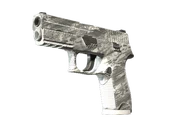 P250 | Sleet image