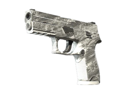 P250 | Sleet image