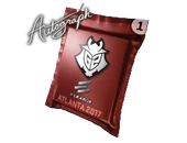 Autograph Capsule | G2 Esports | Atlanta 2017 image