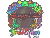 Sticker | Ex3rcice (Holo) | Budapest 2025 image