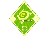 The eSports 2014 Summer Collection image