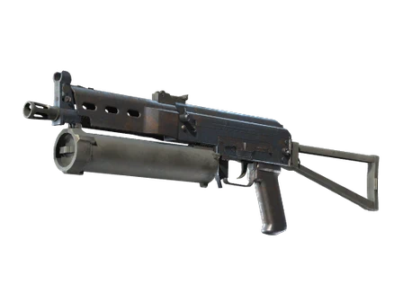 PP-Bizon | Rust Coat image