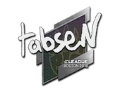 Sticker | tabseN | Boston 2018 image