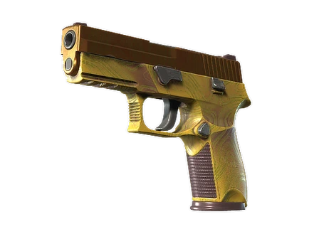 P250 | Sedimentary image