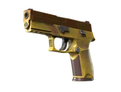 P250 | Sedimentary image