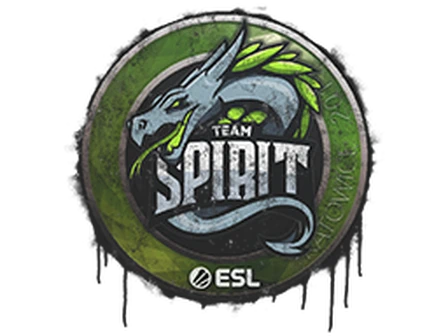 Sealed Graffiti | Team Spirit | Katowice 2019 image