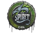 Sealed Graffiti | Team Spirit | Katowice 2019 image