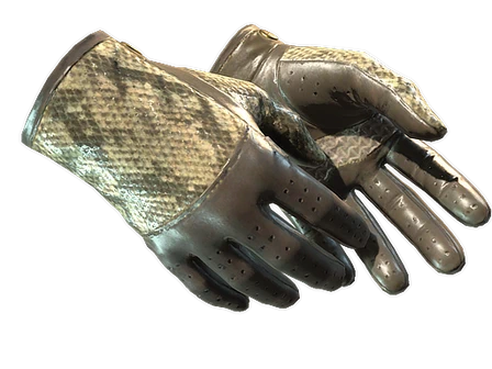 ★ Driver Gloves | Diamondback image