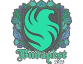 Sticker | Falcons | Budapest 2025 image