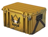 Winter Offensive Weapon Case image