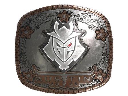 Sticker | G2 Esports (Foil) | Austin 2025 image