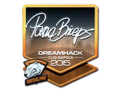 Sticker | pashaBiceps (Foil) | Cluj-Napoca 2015 image