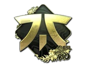 Sticker | Fnatic (Gold) | Rio 2022 image