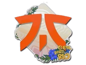 Sticker | Fnatic | Rio 2022 image