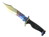★ Bowie Knife | Case Hardened image