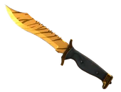 ★ Bowie Knife | Tiger Tooth image