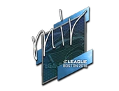 Sticker | mir | Boston 2018 image