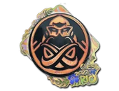 Sticker | ENCE (Holo) | Rio 2022 image
