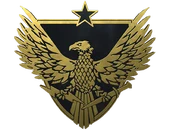 Brigadier General Pin image