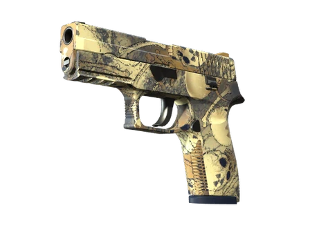 P250 | Contamination image