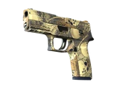 P250 | Contamination image