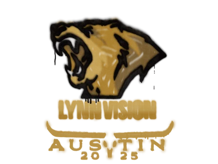 Sealed Graffiti | Lynn Vision | Austin 2025 image