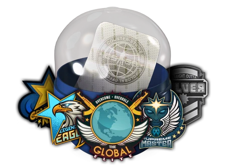 Skill Groups Capsule image