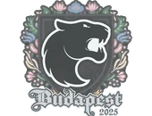 Sticker | FURIA | Budapest 2025 image