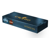 ESL One Katowice 2015 Cache Souvenir Package image