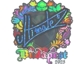 Sticker | ultimate (Holo) | Budapest 2025 image