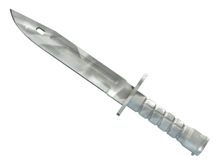 ★ Bayonet | Urban Masked image