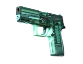 P250 | X-Ray image