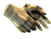 ★ Sport Gloves | Arid image
