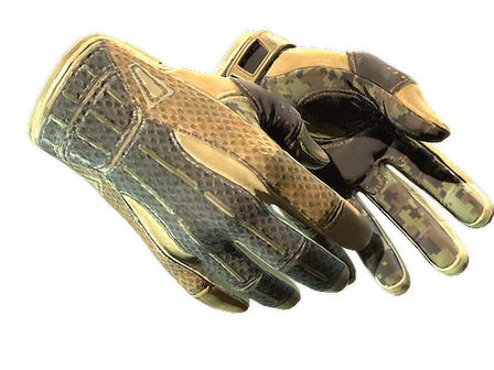 ★ Sport Gloves | Arid image