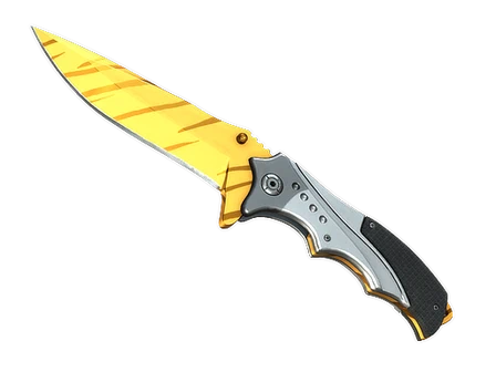 ★ Nomad Knife | Tiger Tooth image