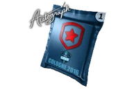 Autograph Capsule | Gambit Gaming | Cologne 2016 image