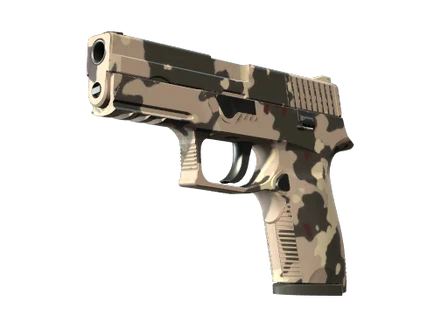 P250 | Black & Tan image