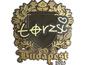 Sticker | torzsi (Gold) | Budapest 2025 image