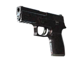 P250 | Dark Filigree image