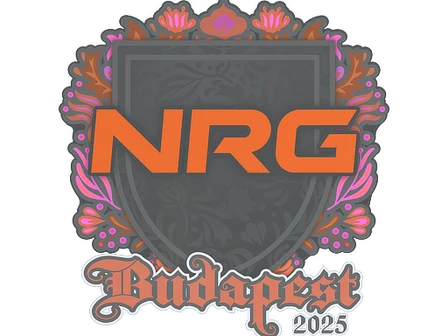 Sticker | NRG | Budapest 2025 image